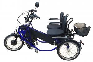 PF Mobility PF Side by Side P20