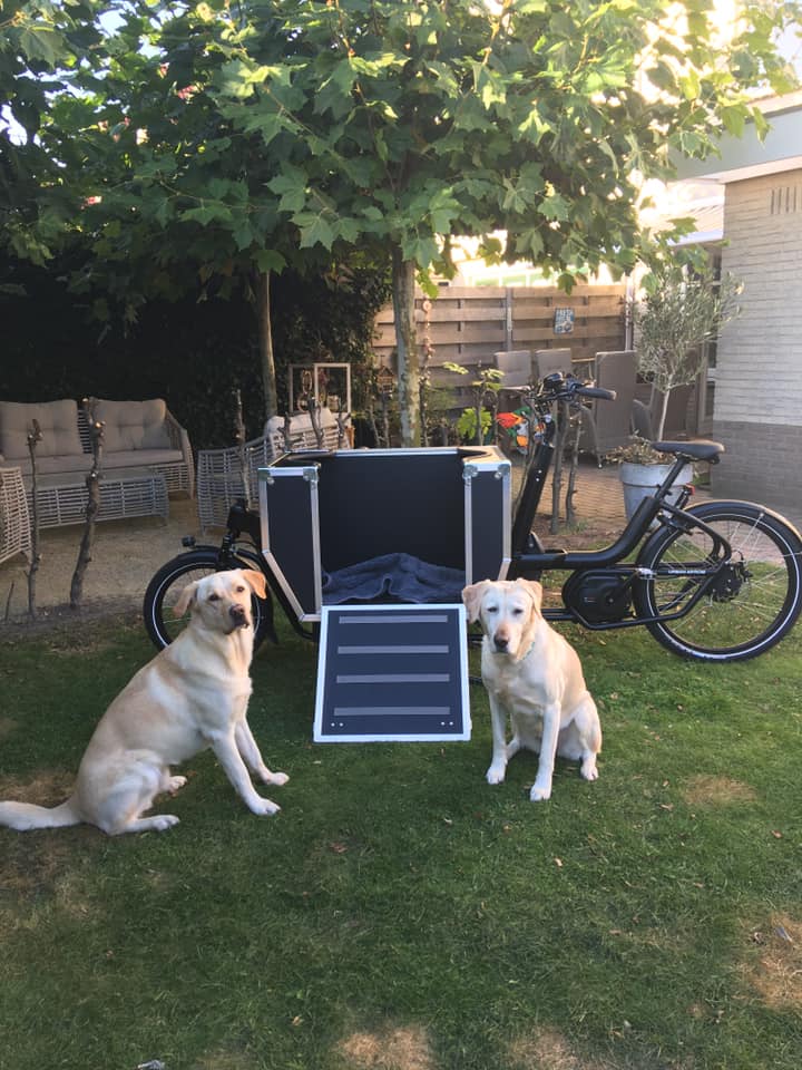 Hond met bakfiets