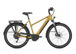 Gazelle Medeo T10 HMB New