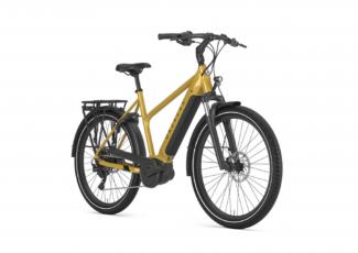 Gazelle Medeo T10 HMB New