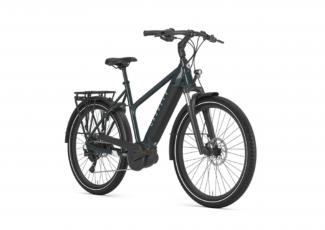 Gazelle Medeo T10 HMB New