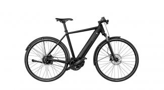 Riese & Müller Roadster vario