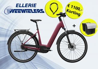 Advanced Tour Pro Wave (Crushed Berry)