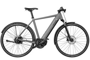 Riese & Müller Roadster Vario