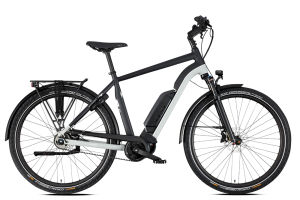 Advanced Trekking Plus Wave (Ebike Das Original)