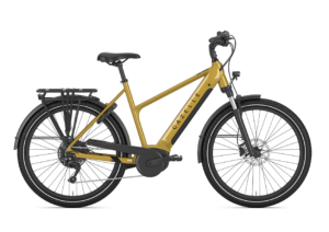 Gazelle Medeo T10 HMB New