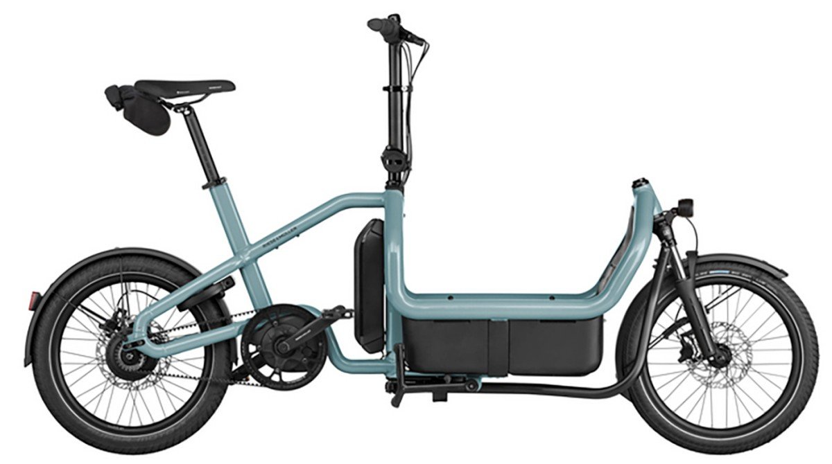 Riese & Muller Carry2 Vario