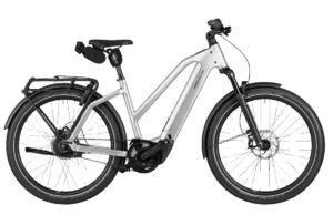 Riese Und Muller Charger5 Pinion