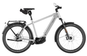 Riese Und Muller Charger5 Pinion HS