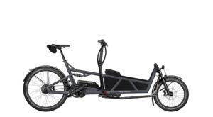 Riese & Muller Load5 60 rohloff