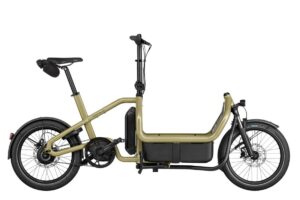 Riese Und Muller Carrie2 Vario