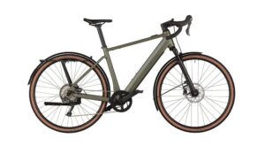 Riese Und Muller UBN Five Commute
