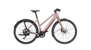Riese Und Muller UBN Seven Touring