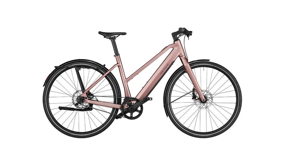 Riese Und Muller UBN Seven Vario - Afbeelding 3